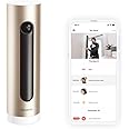Netatmo Smart Indoor Security Camera, WIFI, Movement Detection, Night Vision, Without Fees, NSC01-UK (Welcome)