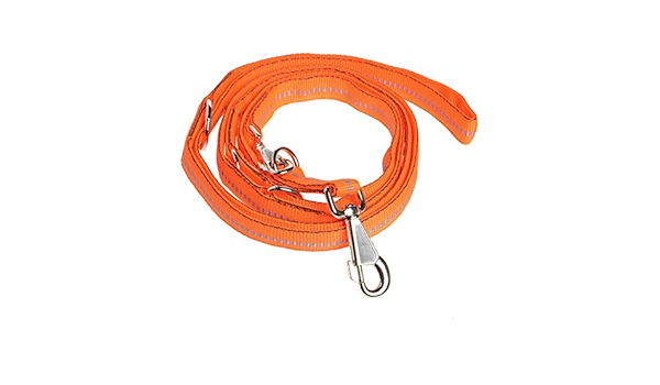 orange dog lead