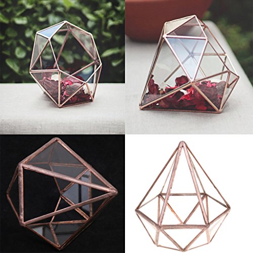 MagiDeal Geometrisches Glas Terrarium Box Glas Sukkulente Pflanzen Pflanzgefäß Deko Diamant Form – S - 9