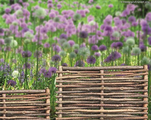 Robuste Beeteinfassung aus Haselnuss 100% natürlich (120 x 20 cm)