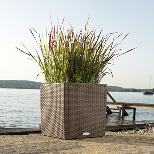 Lechuza Cube Cottage 50 2012 All in One Set, Mokkafarben - 3