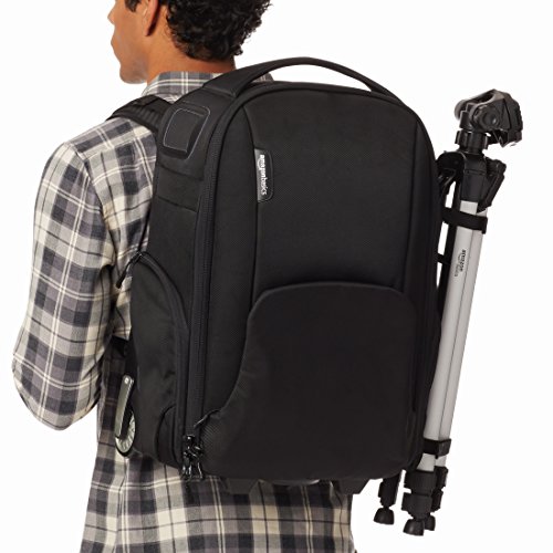 AmazonBasics - Mochila convertible con ruedas, para cámara de fotos - AmazonBasics