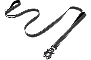 HEYDOGGY Reflektierend Hundeleine 1,2m für Große Mittlere Kleine Hund, Robust Nylon Trainingsleine mit Zwei Griff & Auto Sperre Karabiner, Anti-Zug Walken Sicherheit Kontrolle Führleine Schwarz 4ft