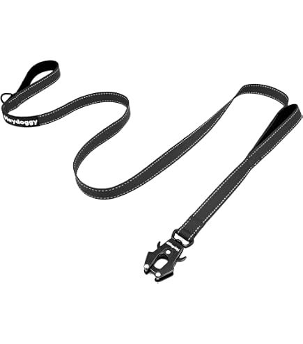 GEIT Hundeleine 1,5 M - Robuste Trainingsleine Mit Doppelgriffen & Reflektierendem Seil