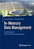 Image de In-Memory Data Management: Ein wendepunkt fur unternehmensanwendungen