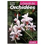 La beauté des orchidées