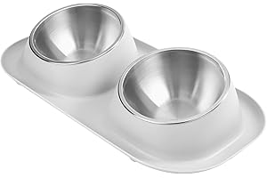 YSQEVN Cuenco del Gato 15°Inclinación Doble Comedero y Bebedero del Perros Pequeños de Acero Inoxidable Tazón de Alimentación con Soporte Platos para Mascota