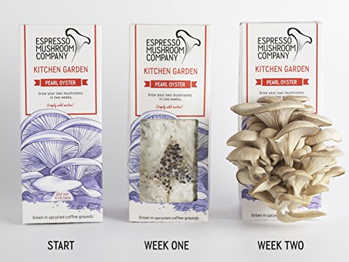 Austernpilze-Gemüsegarten zum selber Züchten – Das Kitchen Garden- Anbau-Kit - 2