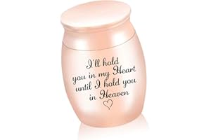 LIKEUDO Small Urns Mini Cremation Human Ashes Holder Stainless Steel Memorial Keepsake Ash Funeral Urn for Pet Small Ashes Urns for dog pet