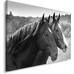 Feeby Frames, Cuadro en lienzo, Cuadro impresión, Cuadro decoración, Canvas de una pieza, 40x60 cm, CABALLOS, BLANCO Y NEGRO
