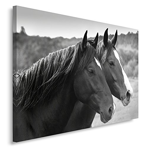 Feeby Frames, Cuadro en lienzo, Cuadro impresión, Cuadro decoración, Canvas de una pieza, 40x60 cm, CABALLOS, BLANCO Y NEGRO