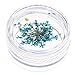 12 Colours Dry Real Dried Flower Nail Art Tips DIY Nail Decoration Manicure Art