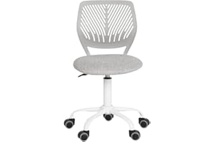 FurnitureR Silla de Oficina en casa, ergonómica, Ajustable, giratoria de Altura, Silla ejecutiva para Ordenador, para casa, Oficina, Estudio, Gris Claro