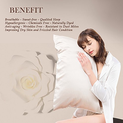 LILYSILK Seide Kissenbezug Kissenhülle aus 100% Maulbeerseide 1 Stück 19 Momme in Schachtelverpackung Silbergrau 40x80cm - 7