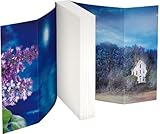 Image de Fliedernächte: Roman (Die Blüten-Trilogie, Band 3)