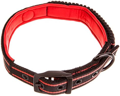 Tyker - Jannu - Quality Training Medium Dog Collar - Red