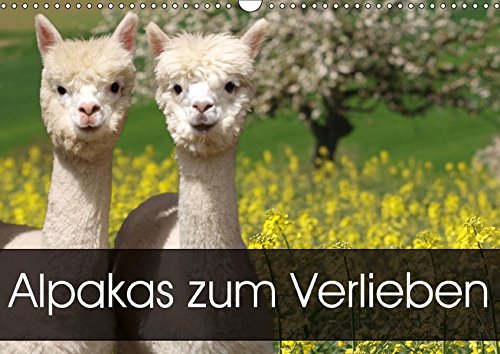 Alpakas zum Verlieben (Wandkalender 2018 DIN A3 quer): Alpakas - Tiere, in die man sich einfach verliebt (Monatskalender, 14 Seiten ) (CALVENDO Tiere) [Kalender] [Apr 01, 2017] Rentschler, Heidi