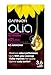 Garnier Olia 3.6 Deep Cherry Red Permanent Hair Dye