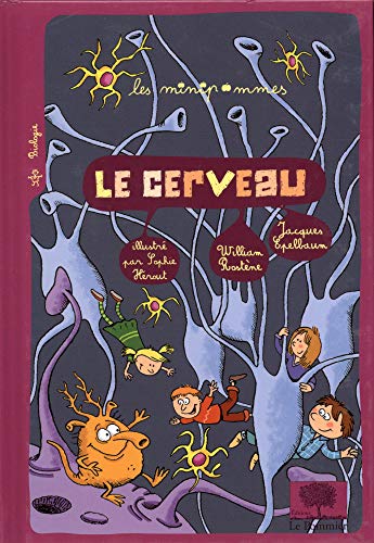 Le cerveau Le cerveau