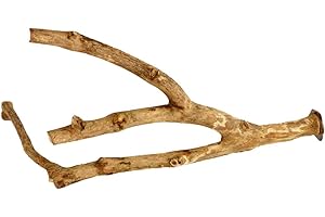 ACE CANINE Java Multibranch Small