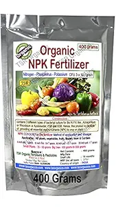 TSR Organic Fertilisers & Pesticides 3-in-1 Organic NPK Garden Fertilizer 400 Grams with Organic Nitrogen Phosphorous Potassium bio Fertilizer granules