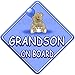 TED BALL * GRANDSON ON BOARD * car window sign