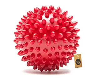 The Dogs Company The Pets Company Natural Rubber Spiked Ball Dog Chew Toy, Puppy Teething Toy, 3 Inches