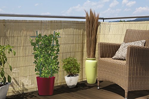 Windhager Blumenstütze Kunststoff, gerade, Grün, 57 x 31 cm - 3