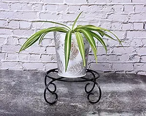 HINS Metal Printed Bucket Shape Flower Plant Pot With Round Metal Stand For Indoor Gardening Plant Stands For Indoor Balcony I Plant Bench I Plant Stands I Pot Stand Single I Potted Plant Stand I Big Pots I Metal Plant Stand I Tall Outdoor Planter I Metal Casters I Large Plant Stand I Pot Stands For Garden I Indoor Plants Stand I Iron Plant Stand I Terrace Garden Stand I Garden Rack I Iron Stand For Pots I Pots Stand I Indoor Planter With Stand I Metal Plant St
