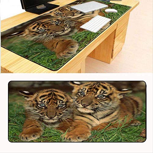 Preisvergleich Produktbild Dhsbd @ Mauspad Tier Erweiterte Große Matten Gummimatte Overlock Rand Wasserdichte Gaming Mouse Pad Matte Xl Große Schreibtisch Büroarbeit / Spiel Geburtstagsgeschenk 300X600X2 Mm
