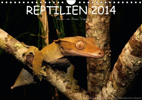 REPTILIEN (Wandkalender 2014 DIN A4 quer): Reptilien aus aller Welt (Monatskalender, 14 Seiten)