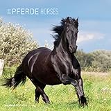 Pferde 2015 - Horses - Broschürenkalender (30 x 60 geöffnet) - Tierkalender by 