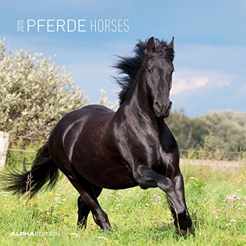 Pferde 2015 - Horses - Broschürenkalender (30 x 60 geöffnet) - Tierkalender