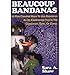 Produktbild Beaucoup Bandanas: 50 Plus Creative Ways to Use Bandanas As an Experiential Tool in the Classroom, in the Gym or at Camp (Paperback) - Common