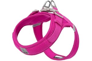 WINHYEPET Truelove Dog Harness Soft Mesh Reflective Breathable Step-In Dog Harness,Easy Adjustment Harness with Safety Buckle for Extra Small and Small Dogs, Vest Harness TLH3013(Fushcia,S)