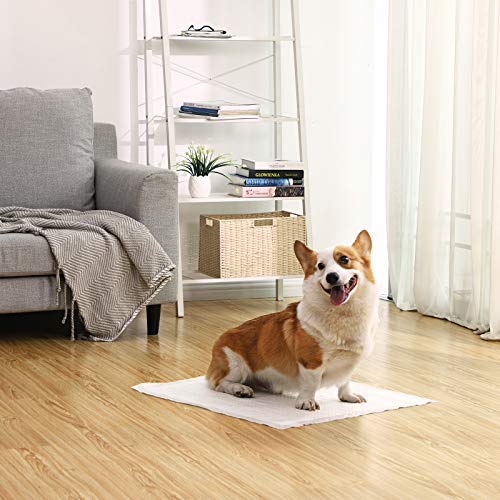 SONGMICS-Lot-de-100-Tapis-ducateurs-pour-Chiots-Super-absorbants-en-5-Couches-Protection