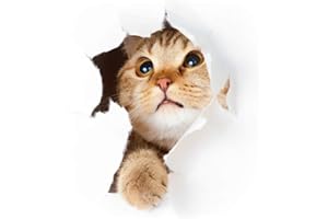 AMBIANCE STICKER Stickers adhésifs Effet 3D | Sticker Autocollant Petit Chat - Décoration Murale Trompe l'œil Cuisine - 25 x 20 cm cm