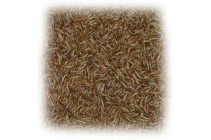 VANSTART Terra-Discount 1000 g Mehlwürmer Futterinsekten Mehl Würmer Futtertiere 1 kg