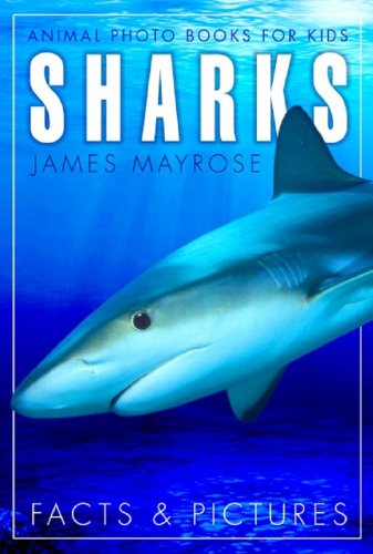 Download Shark Facts and Cool Pictures. Animal Photo Books for Kids. Download Shark Facts and Cool Pictures. Animal Photo Books for Kids.