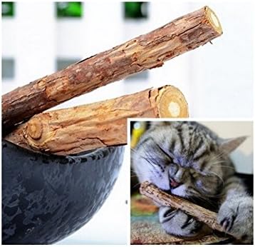 HYGMall 2PC Cat Cleaning Teeth Fruit Natural Catnip Pet Cat Molar Toothpaste Stick 2pcs Bag Pure Cat Snacks Sticks Pet Accessory Toy Supplies Creative Fashion Cat Snacks Sticks