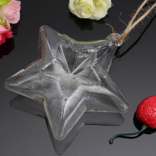 Kungfull Mall Lucky Star Form Glas Vase Blumenvase Wasser Kulturanlage Container - 5