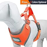 [Gesponsert]ThinkPet Atmungsaktives Hundegeschirr aus Weichem Air Mesh Gewebe, reflektierend, Mittelgroß, Neon-Orange