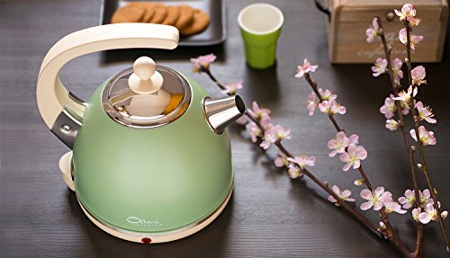 Ottoni Fabbrica Neuer Italienischer Top Wasserkocher aus Edelstahl „Alice Primavera“ 2400W 1,7l. - 4
