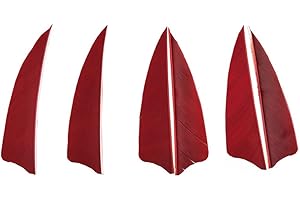 AMEYXGS MILAEM 50pcs 3 Pouces Tir à l'arc Plumes Plume de flèche Plumes Naturelles pour la Chasse flèches Aile Droite