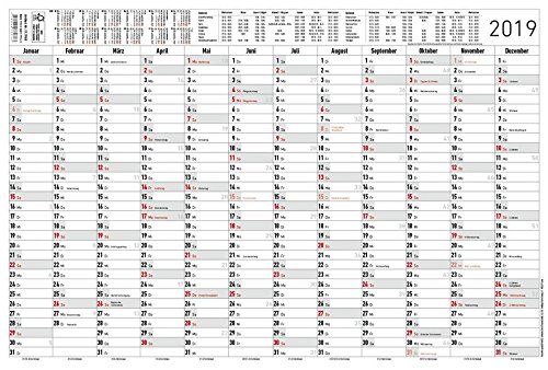 Preisvergleich Produktbild Jahresplaner 2019 - Wandplaner / Plakatkalender (50 x 34) - Ferienübersicht - Arbeitstagezählung