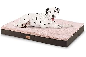 brunolie Balu - Lit pour Chien, Lavable, orthopédique et antidérapant, Coussin pour Chien, Peluche, Mousse à mémoire Respirante, Taille XL (120 x 72 x 10 cm) - Beige