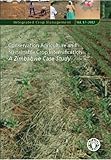 Image de Conservation Agriculture and Sustainable Crop Intensification: A Zimbabwe Case Study