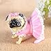 Produktbild Deko Skulpturen Statue Figur Mops Kreative Harz Simulation Handwerk Nette Dekoration Wohnzimmer Dekoration Geburtstagsgeschenk, Meng Xiaoba B