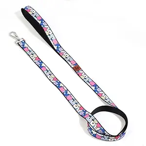 Lana Paws Polyester Sturdy, Lightweight & Stylish Googly Eyes Dog Leash (S-M)_Pack of 1
