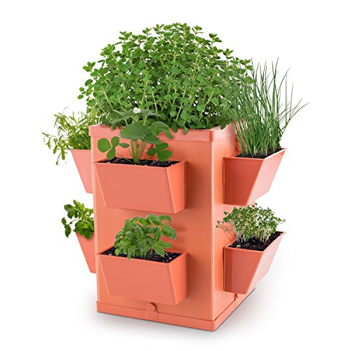 Waldbeck Herbie Hero • Blumentopf • Pflanztopf • Kräutertopf • Kräutergarten • PP-Hohlkammerplatten • 8 seitliche Pflanzenschächte • frische Kräuter • witterungsbeständig • terrakotta